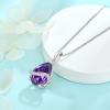 image:imageInpasne Teardrop Necklace for Women 925 Sterling Silver Birthstone Necklace Pendant Jewelry Gifts for Her02 February  Amethyst
